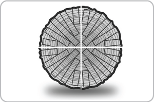 hout-oorsprong